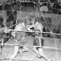 1949-50 Boxing 5-3