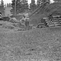 Hilgard, Gettle Ranch 6