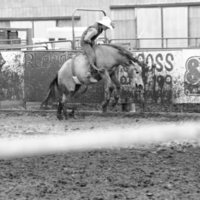 1987 Rodeo, Bronco Riding 12