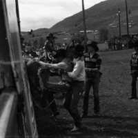 1981 Rodeo, Bronco Riding 05