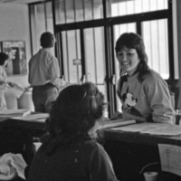 1985 Hoke Information Counter 01