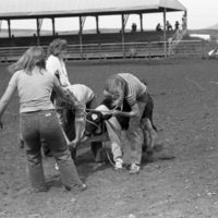 1981 Rodeo, Calf Dressing 09