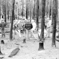 1987 Field Trip, Forest 11