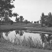Island City, Golf Course 10