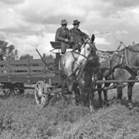 Union Stock Show, 1941 13