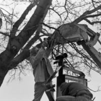 1982 Campus Clock, Installation 06