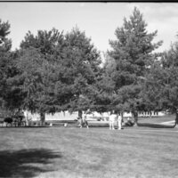 1990 Campus 02