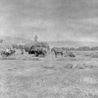 Farm, Haying Operation 2