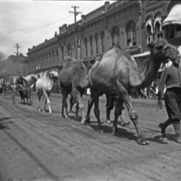 La Grande Parade, Circus 4