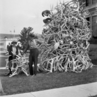 Wyoming, Antler Collection