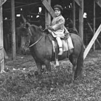Reuter, Bob - Child 33