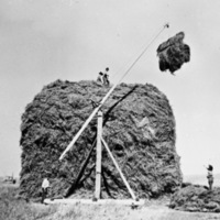Elgin Farm, Carl Long 4
