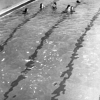 1979 Quinn Swimming Pool 06