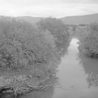 Cove, Stream 1