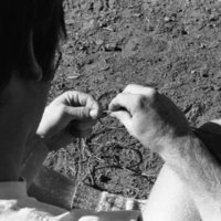 1981 Wallowa Mt. Field Station 39