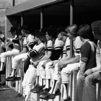 1978 Baseball Players, Dugout
