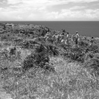 Japanese Surrender, Waiting 1