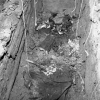 1979 Inlow Hall Grave 17