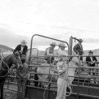 1969 Rodeo, Cowboys &amp; Cowgirls