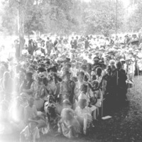 Cove, Cherry Fair Crowd 2