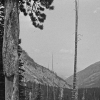Oregon, Scenery 16