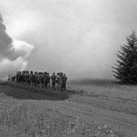 A group of soldiers on a dirt path walking to the left side in a line into a white cloud of gas.  A trees is off to the right.
