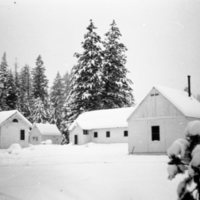1973 Lily White Field Station 01