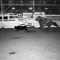 1991 Rodeo, Roping Practice 13