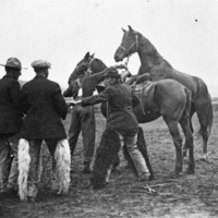 Union Stock Show, 1914 2