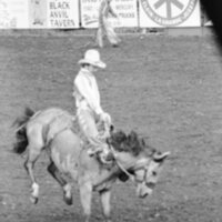 1978 Rodeo, Bronco Riding 11