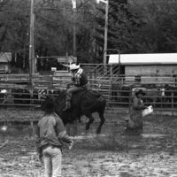 1991 Eastern Rodeo, Bull Riding 08