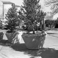 1985 Campus, 8th Street Closure 08