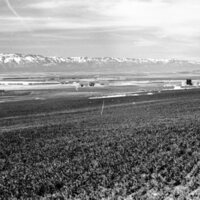 1978 Agriculture, Farm Equipment 09
