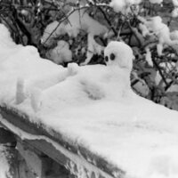 1984 Snowman 02