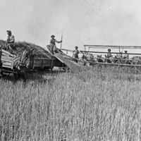 Alicel, Farm Header