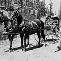 Sanger, Carriage Ride