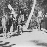 Reuter, Horseback Ride 1