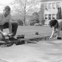 1988 Employees, Planting 01