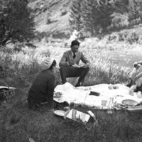Reuter Group-DD, Picnic 2