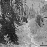 Oregon, Canyon Train 2