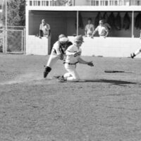 1988 Baseball Action 18