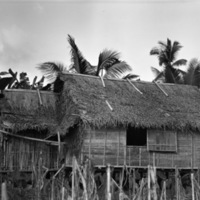 Leyte Local Houses 3