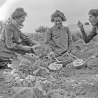 GRV, Watermelon Picnic