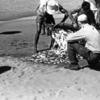 Lingayen Gulf Fishing 4