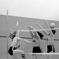 1978 Volleyball Action 08