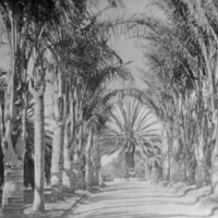 Reuter, California Trip 27