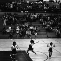 1982 High school Wapiti League Basketball Tournament, Pine Eagle Cheerleaders 01