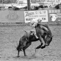 1978 Rodeo, Bronco Riding 06