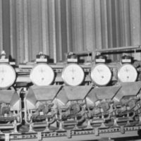 1979 Field Trip, Grande Ronde Commodities Plant 13