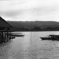 Hollandia Native Homes 1